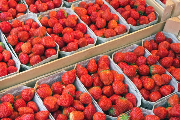 Fragole in scatole in vendita — Foto Stock