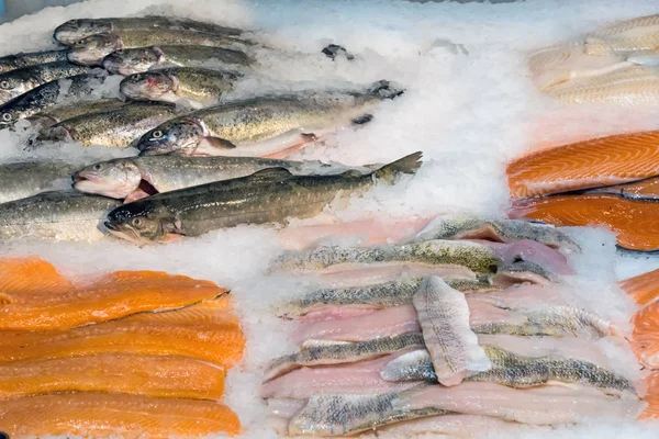 Filetes de pescado fresco en hielo para la venta —  Fotos de Stock