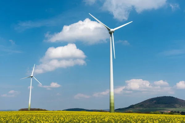 Windmühlen auf einem Rapsfeld — Stockfoto