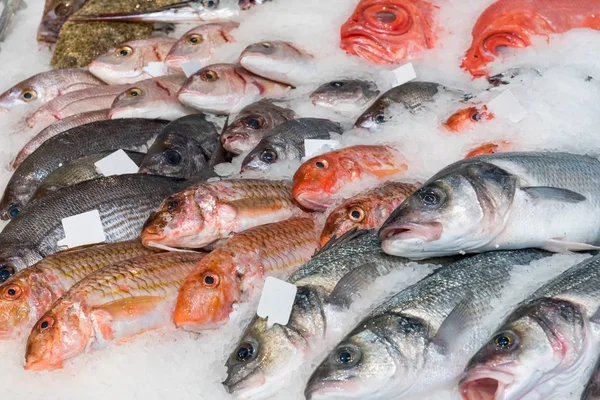 판매를 위한 얼음에 고급 생선 — 스톡 사진