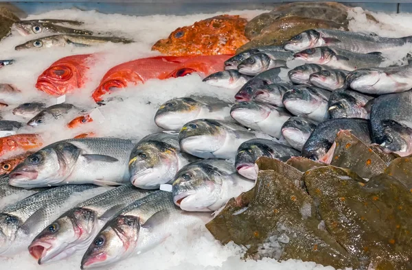 Peixe no gelo para venda — Fotografia de Stock