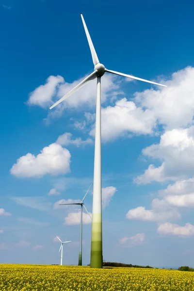 Windräder in einem Rapsfeld — Stockfoto