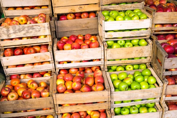 Manzanas frescas en cajas de madera en venta — Foto de Stock