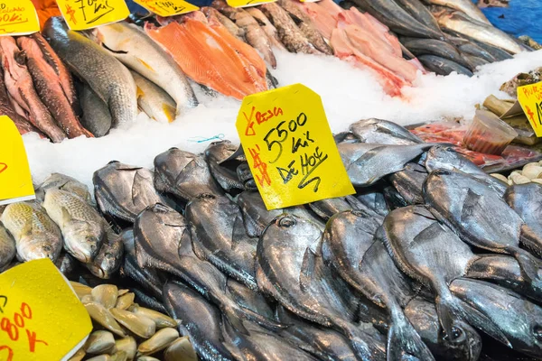 Skaldjur och fisk på en marknad i Santiago — Stockfoto