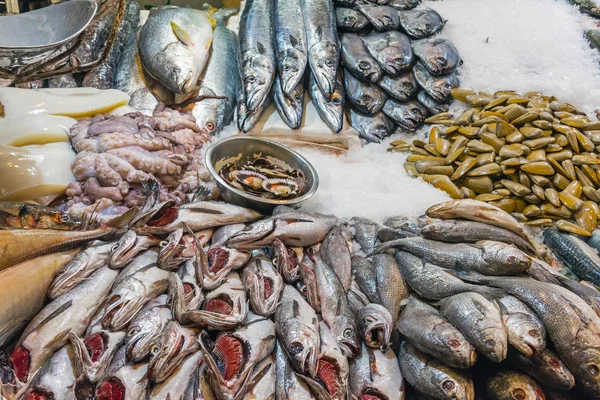 Peixes e frutos do mar no Mercado Central em Santiago — Fotografia de Stock