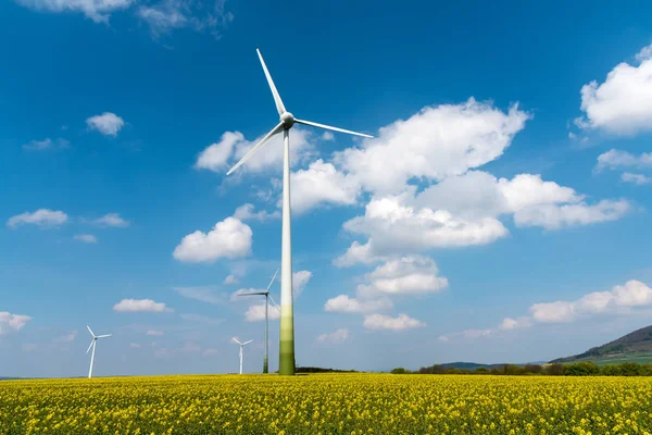 Windwheels in a rapeseed field — Stock Photo, Image