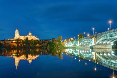 Salamanca Katedrali ve nehir Tormes Puente de Enruque Estevan gece ile