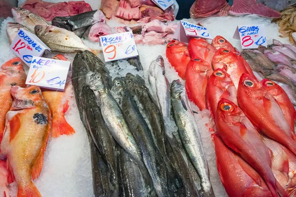 Sargo Vermelho Outros Peixes Para Venda Num Mercado Madrid — Fotografia de Stock