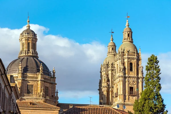 Het Dak Van Kathedraal Van Salamanca Spanje — Stockfoto