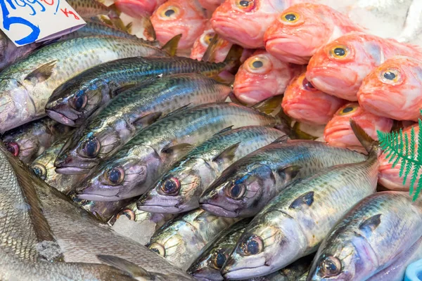 Fresh Fish Sale Market Madrid Spain — Stock Photo, Image