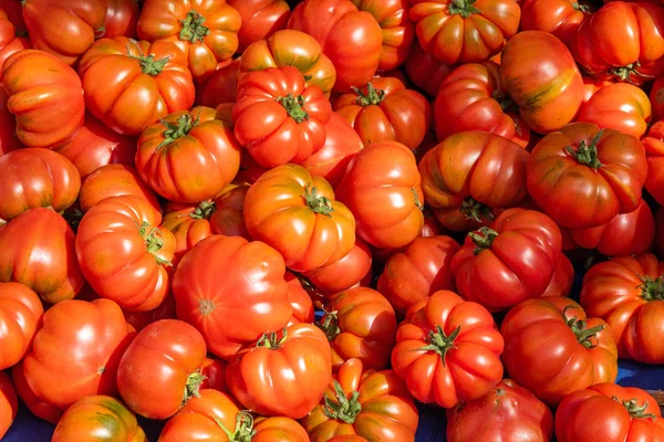 市場で販売のためのシチリアトマトをリッピング — ストック写真