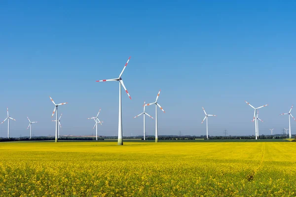 Wind Power Plants Blooming Rapeseed Field Seen Rural Germany — Stock Photo, Image