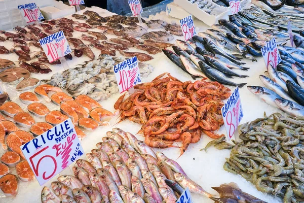 Red Mullet Salmon Other Fish Seafood Sale Market Naples Italy — ストック写真