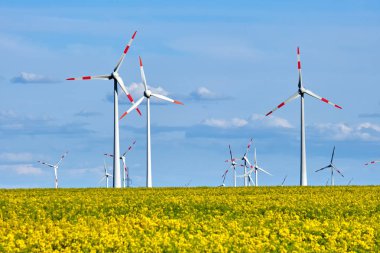 Almanya 'da rüzgar türbinleri ve çiçek açan kanola tarlası görülüyor