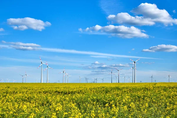 Flowering Canola Field Wind Turbines Back Seen Germany — Stock Photo, Image