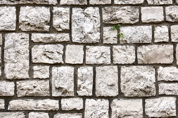 Achtergrond Van Een Muur Gemaakt Van Blokvormige Oude Natuurstenen — Stockfoto