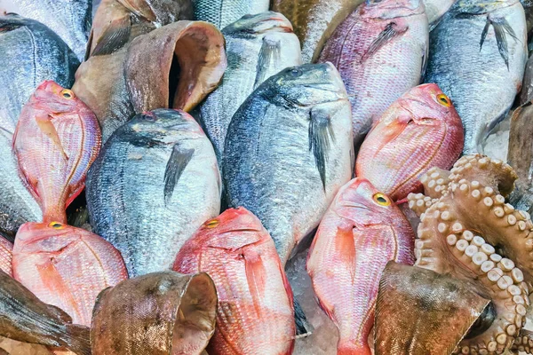 Φρέσκα Ψάρια Και Χταπόδια Προς Πώληση Στην Αγορά — Φωτογραφία Αρχείου