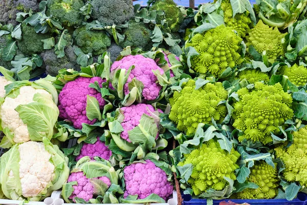 Different Kinds Cauliflower Broccoli Sale Market — Stock Photo, Image