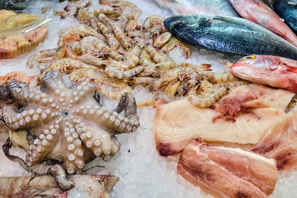 Vis Zeevruchten Koop Een Markt Rome Italië — Stockfoto