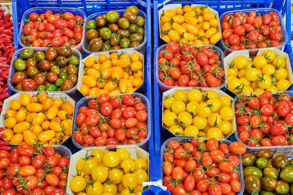 Pomidory Wiśniowe Różnych Kolorach Sprzedaż Rynku — Zdjęcie stockowe