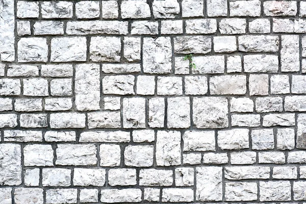 벽돌로 만들어 자연스럽게 — 스톡 사진