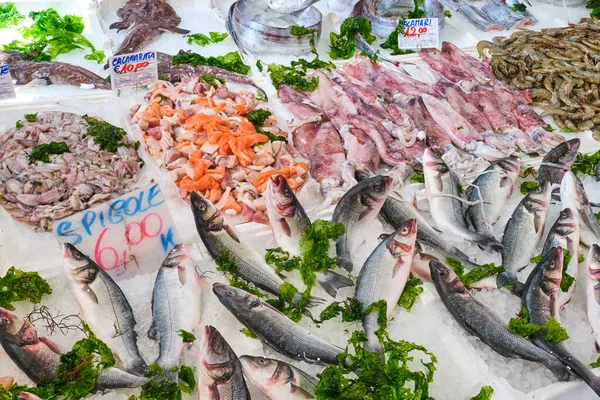 Frutos Mar Peixe Para Venda Num Mercado Peixe Nápoles Itália — Fotografia de Stock
