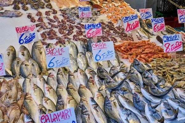 イタリア ナポリのポルタ ノラナ市場での販売のための新鮮な魚や魚介類 — ストック写真