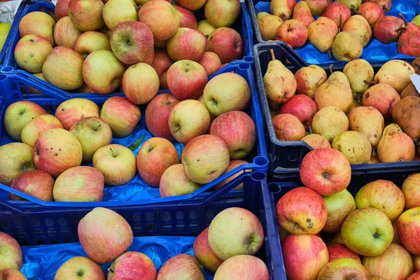 Áreas Rojas Venta Mercado — Foto de Stock