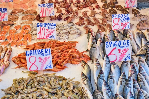 イタリア ナポリの市場での販売のためのバスや他の魚や魚介類 — ストック写真