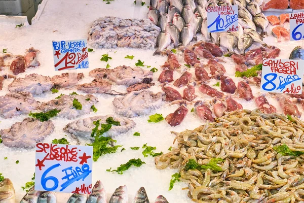 Poulpe Calamars Poissons Vendre Dans Marché Aux Poissons Naples Italie — Photo