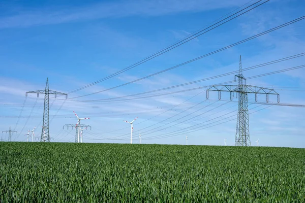 Linhas Eléctricas Aéreas Num Campo Milho Visto Alemanha — Fotografia de Stock