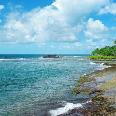 Palmiye ağaçları ve mavi gökyüzü ile okyanus plaj