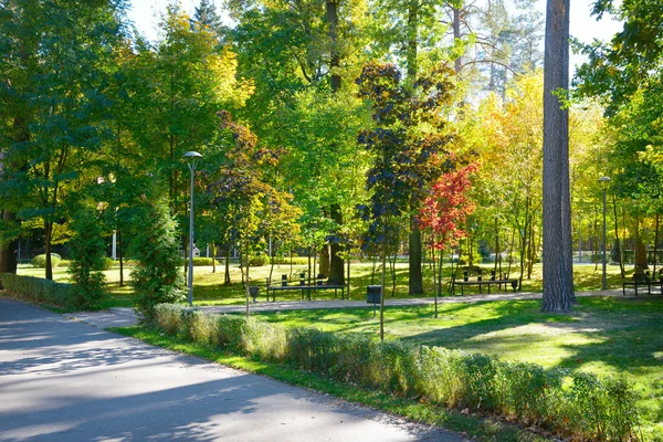 Paisajes otoñales en el parque — Foto de Stock