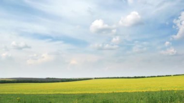 Işık beyaz bulutlar gökyüzünde bahar bir alanın üzerine hareket.. 