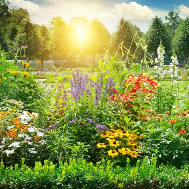 Çok renkli flowerbed Park.
