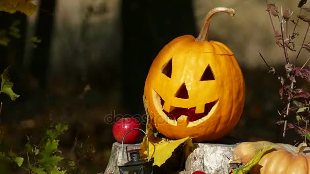 Halloween-Kürbis auf einem Baumstumpf im Frühlingswald. Wind trägt die Blätter. — Stockvideo