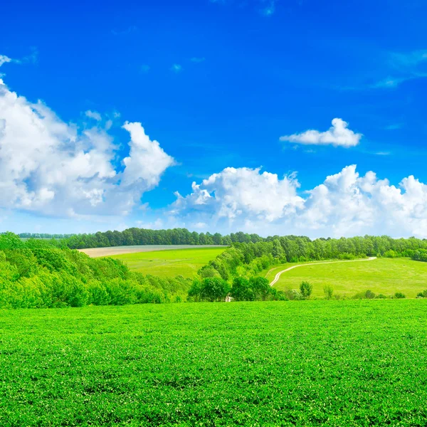 Campo de primavera y cielo azul — Foto de Stock