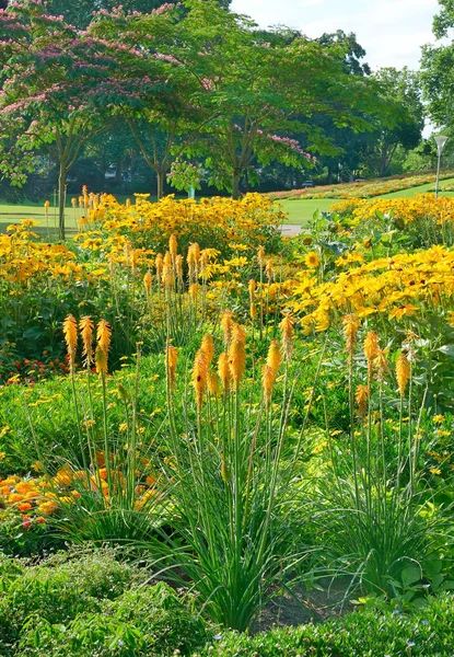 Des parterres fleuris dans le parc — Photo