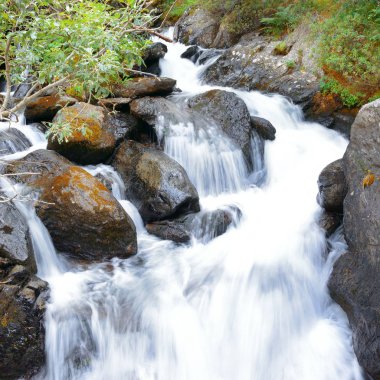 Dağ nehrinde şelale