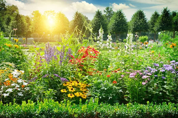 Veelkleurige flowerbed in park. — Stockfoto