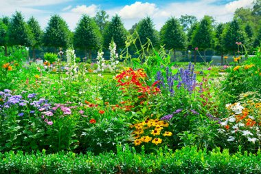 Çiçek açması flowerbed Park