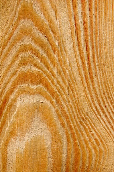 Wood texture with growth rings — Stock Photo, Image