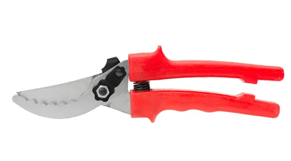 Pruner isolated on white — Stock Photo, Image