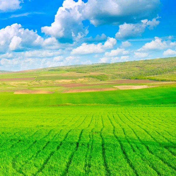 Hermoso paisaje rural — Foto de Stock