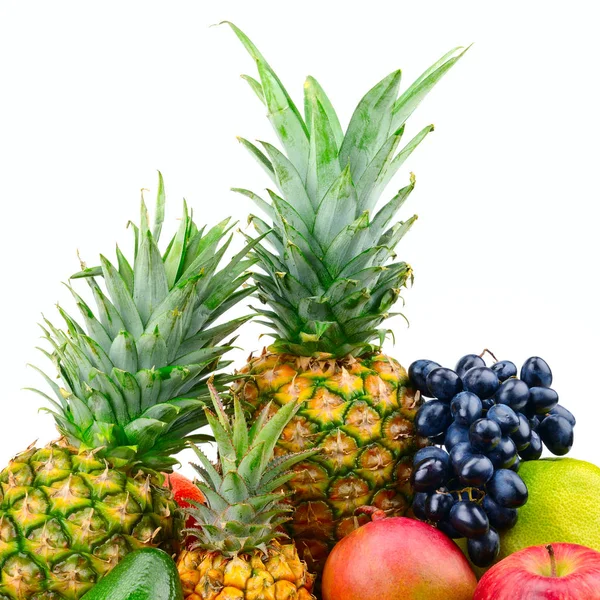 Coleta de frutas suculentas — Fotografia de Stock