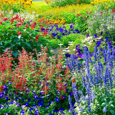 Blossoming flowerbeds in the park clipart