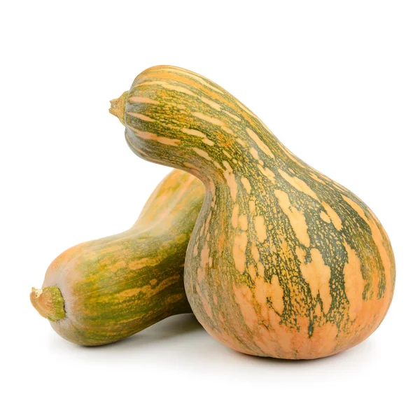 Raccolta zucca isolata su bianco — Foto Stock