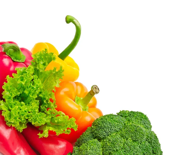 Samling färska grönsaker — Stockfoto