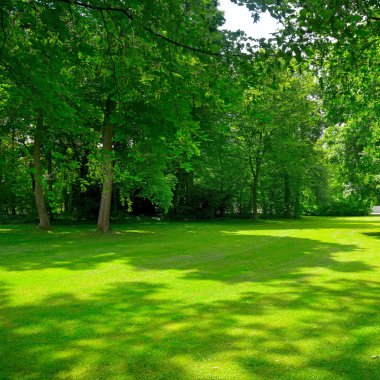 Güzel park Temizleme