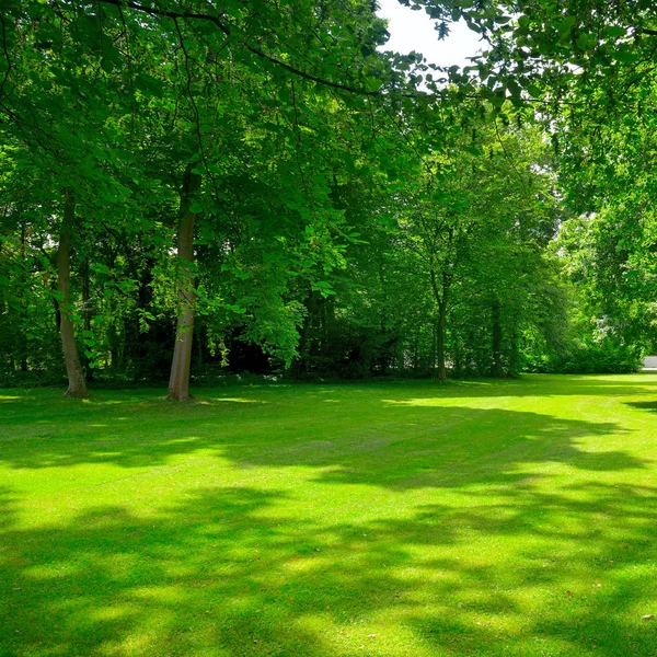 Güzel park Temizleme